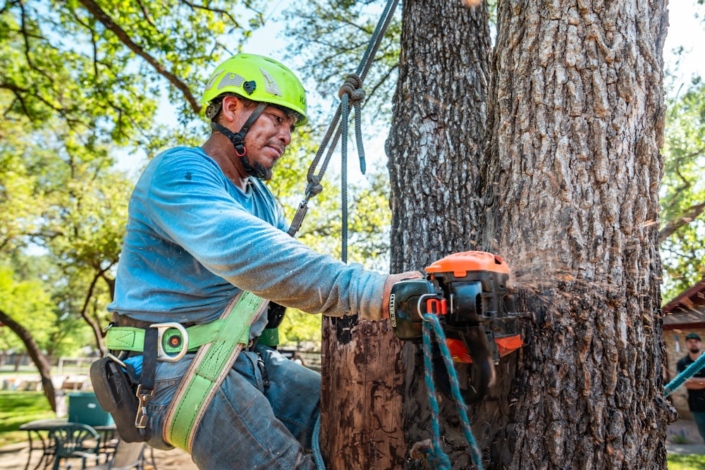 Arborist making a sectional cut during a removal