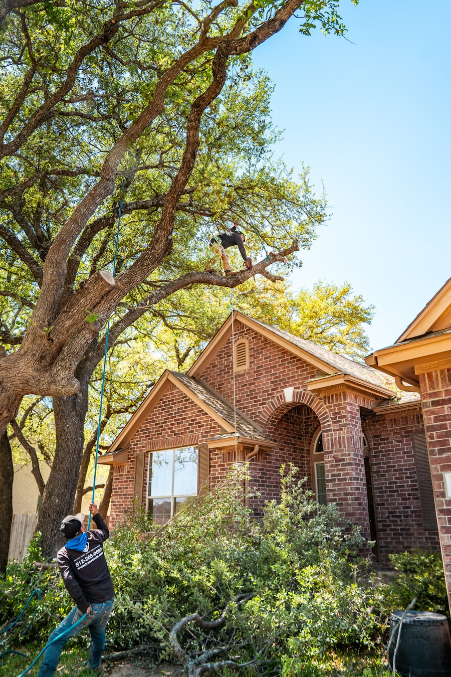Climber working a large limb directly over a brick home's roofline while the ground crew tends the rope